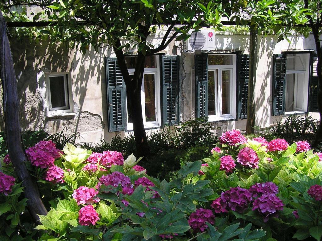 Appartement Elly